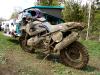 DSC08223.JPG