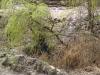 DSC08357.JPG