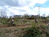 DSC08436.JPG