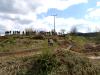 DSC08446.JPG