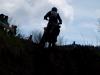 DSC08617.JPG