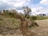 DSC08748.JPG