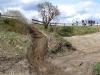 DSC08751.JPG