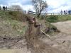 DSC08752.JPG