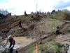 DSC08785.JPG