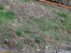 DSC08808.JPG
