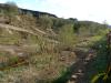 DSC08990.JPG
