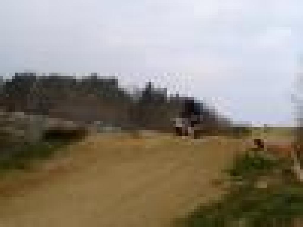 DSC08120.JPG