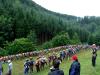 DSC01103.JPG