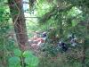 DSC01175.JPG