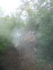 DSC01182.JPG