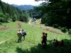 DSC01268.JPG