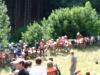 DSC01281.JPG