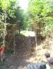 DSC01312.JPG