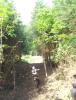DSC01314.JPG