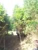 DSC01315.JPG