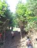 DSC01316.JPG