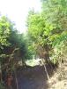 DSC01317.JPG