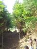 DSC01318.JPG