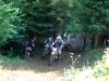 DSC01378.JPG
