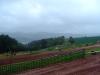 DSC09831.JPG