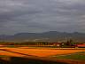DSCN3891.JPG