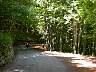 CP4500_01484.JPG