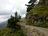 CP4500_01507.JPG
