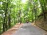 CP4500_01556.JPG