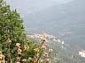 CP4500_01568.JPG