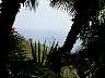 CP4500_01650.JPG