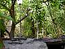 CP4500_01684.JPG